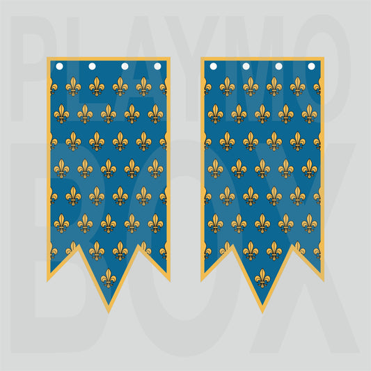 Kingdom of France Banner