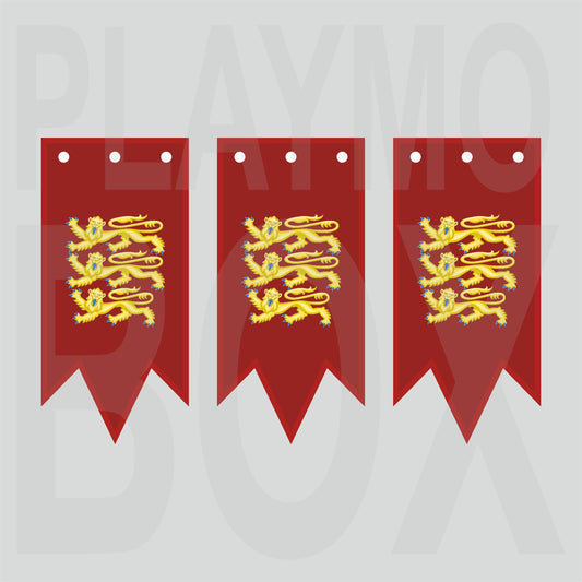 Three Lions Banner