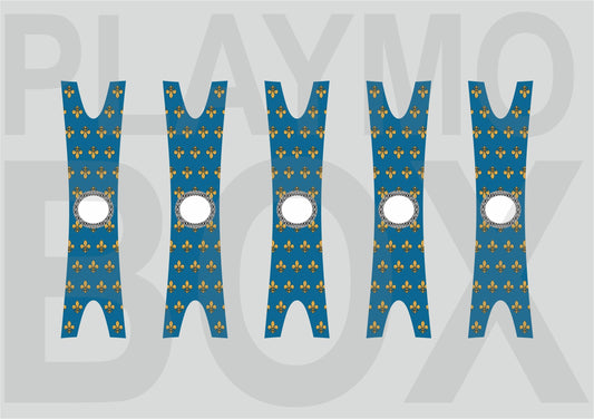 Kingdom of France Cloak