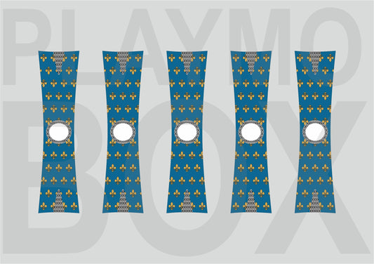 Kingdom of France Cloak