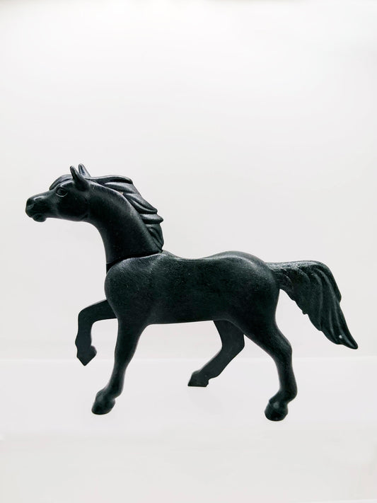 Horse Arabian