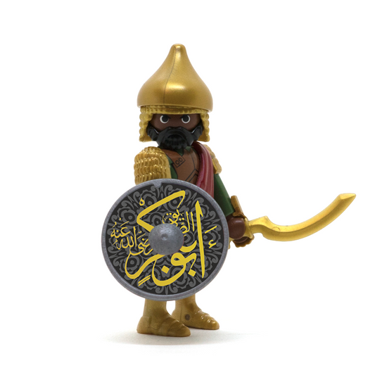 Ayyubid Sultanate