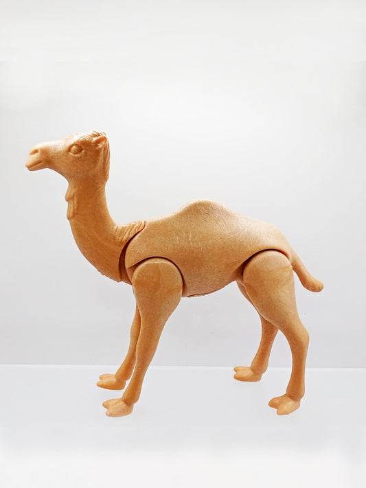 Camel
