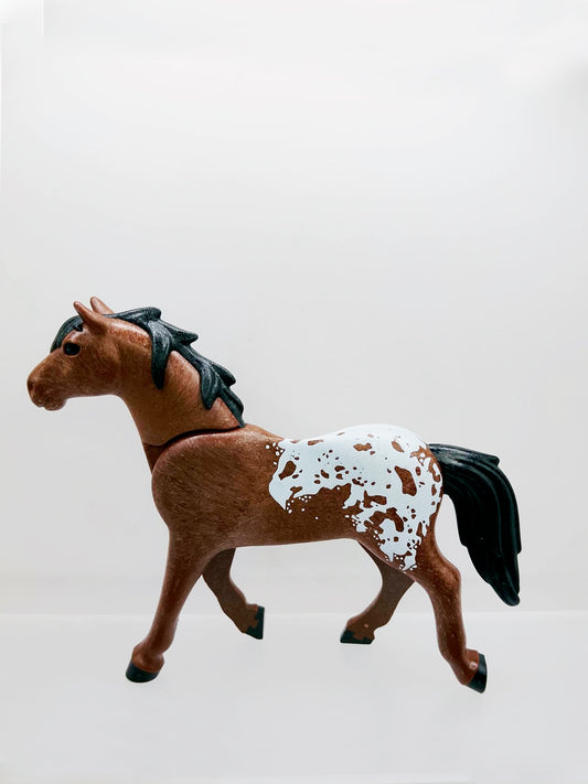 Horse Appaloosa
